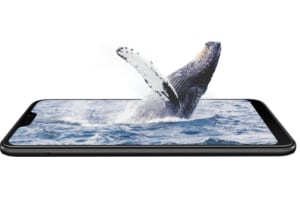 XIAOMI smartphone