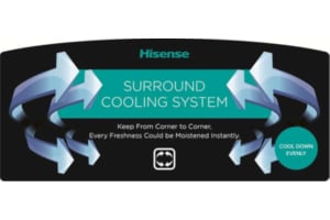 Hisense RT417N4DW1