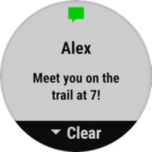 Garmin Fenix 6