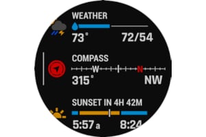 Garmin Fenix 6