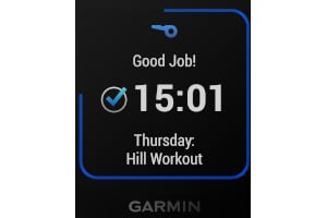 Garmin Fenix 6