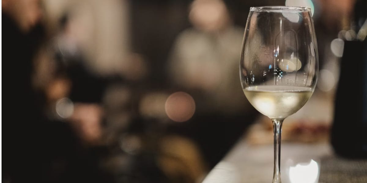 Συντηρητής Κρασιών LA SOMMELIERE LS24A για 23 Μπουκάλια με LED φωτισμό - Inox