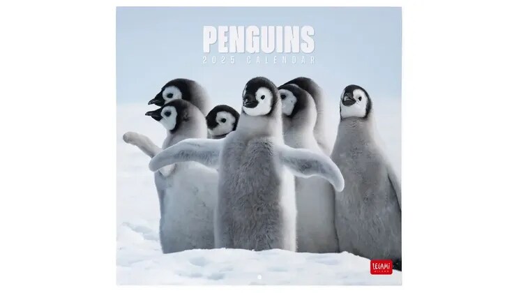 Ημερολόγιο Τοίχου Legami 2025 Penguins 30x29 cm