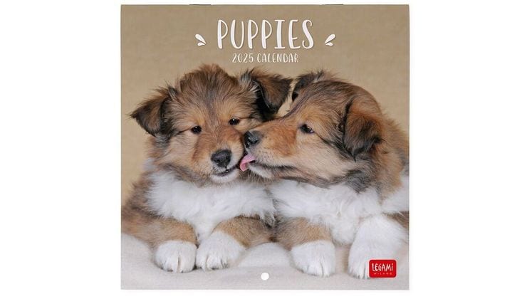 Ημερολόγιο Τοίχου Legami 2025 Puppies 18x18cm