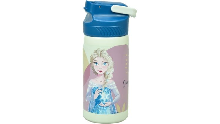 Παγούρι Gim Stainless Steel Frozen Nature 500 ml Λαχανί