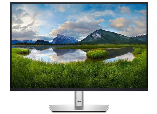 DELL P Series P2425 24.1