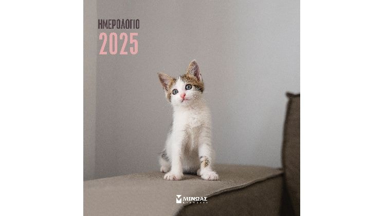 Ημερολόγιο Μηνιαίο Τοίχου 2025 Μίνωας 12M Γατάκια