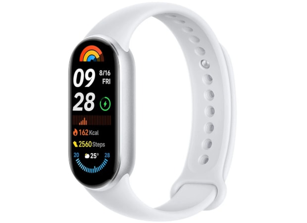 Activity Tracker Xiaomi Smart Band 9 - Glacier Silver