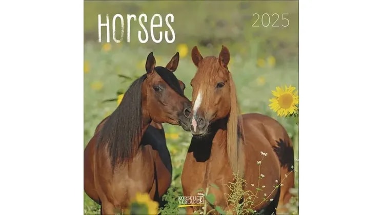 Ημερολόγιο Τοίχου 2025 Horses