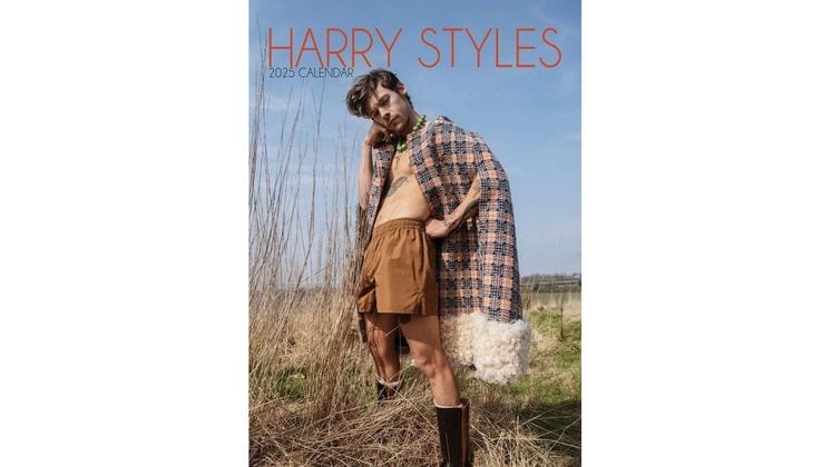 Ημερολόγιο Μηνιαίο 2025 Harry Styles