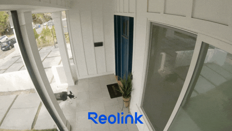 Decoration image