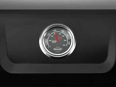 Θερμόμετρο Ακριβείας ACCU-PROBE™