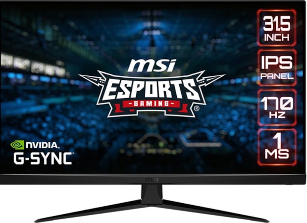 MSI G321Q 31.5" WQHD IPS Flat 170Hz 1ms