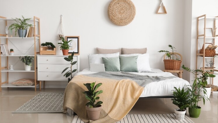 Decoration image
