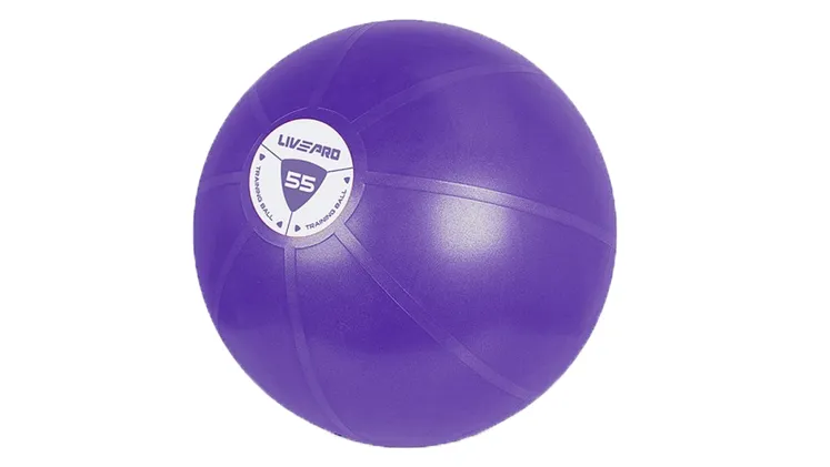 Μπάλα γυμναστικής Livepro Κινησιοθεραπείας Core Fit Β-8201 55cm - Μωβ