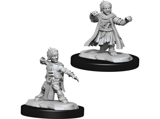 Wizkids Deepcuts: Halfling Male Monk Dungeons & Dragons WIZKIDS