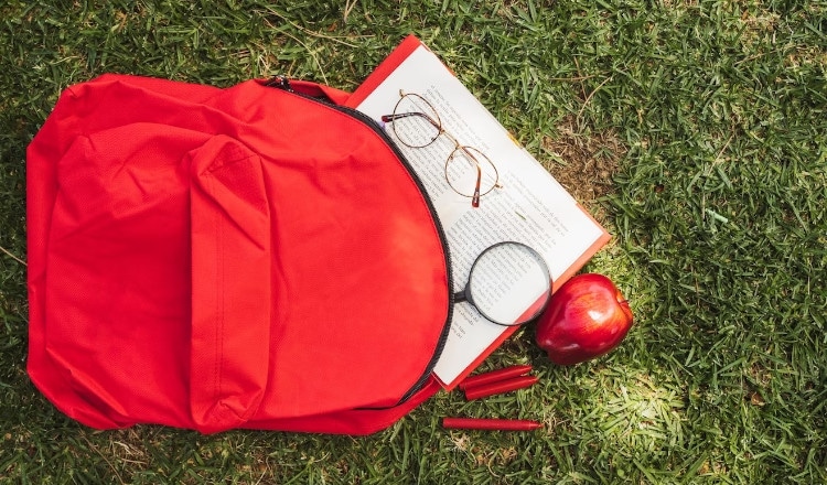 Τσάντα Πλάτης Polo Mini Bag Μαύρο Μωβ
