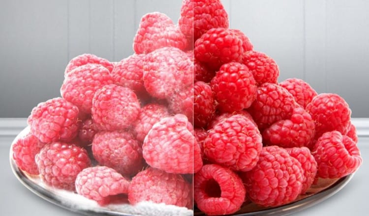 Ψυγείο Μονόπορτο ΒΕΚΟ B3RMLNE444 No Frost 334 Lt - Inox