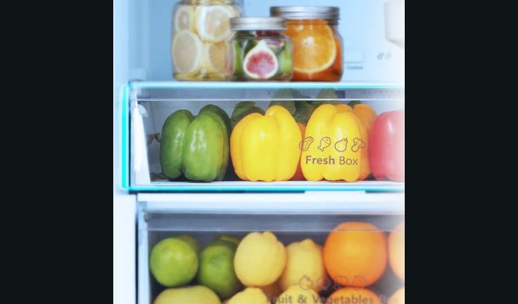 Ψυγείο Μονόπορτο ΒΕΚΟ B3RMLNE444 No Frost 334 Lt - Inox