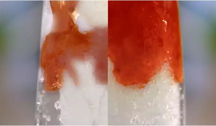 Μπλέντερ PHILIPS HR2291/01 600 W Μαύρο

