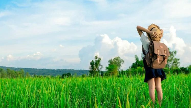 Απομακρυσμένος έλεγχος Wi-Fi και εξειδικευμένο Hotel Menu