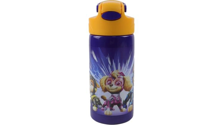 Παγούρι Gim Stainless Steel Paw Patrol 500 ml Μπλε