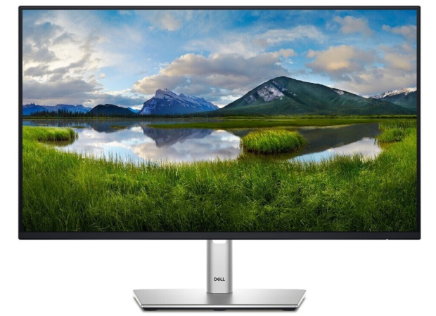 DELL P Series P2425H 23.8