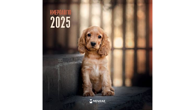 Ημερολόγιο Μηνιαίο Τοίχου 2025 Μίνωας 12M Σκυλάκια