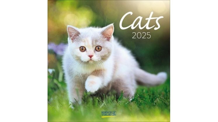 Ημερολόγιο Τοίχου 2025 Cats