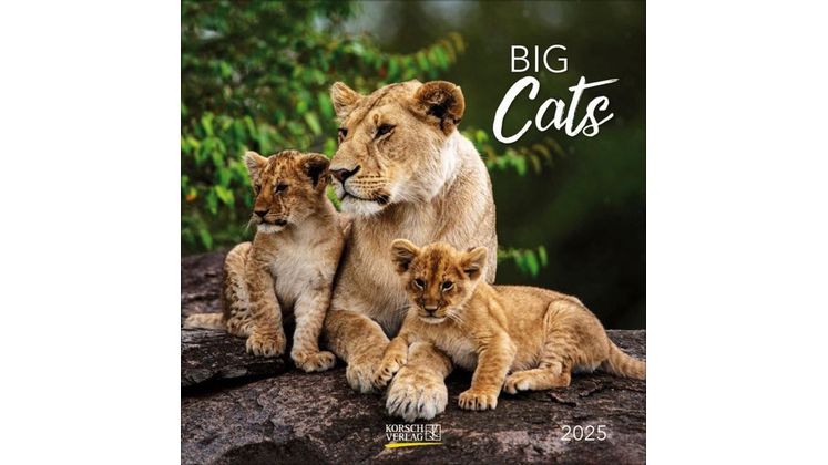 Ημερολόγιο Τοίχου 2025 Big Cats
