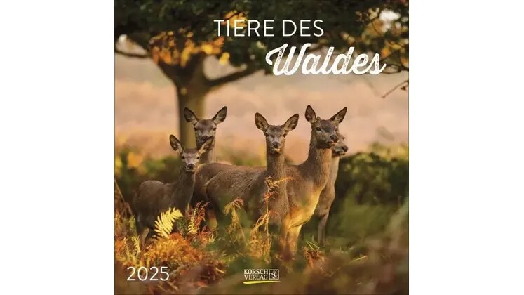 Ημερολόγιο Τοίχου 2025 Tiere des Waldes