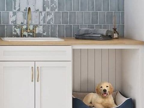 Pet Care