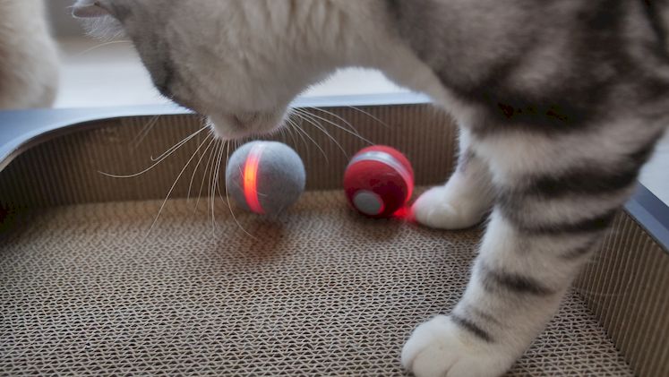 Cheerble Ball M1 C0419 Gray