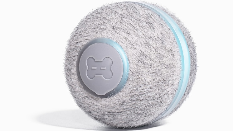 Cheerble Ball M1 C0419 Gray