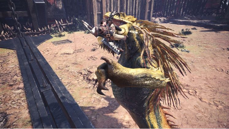 Co-op Hunting Action