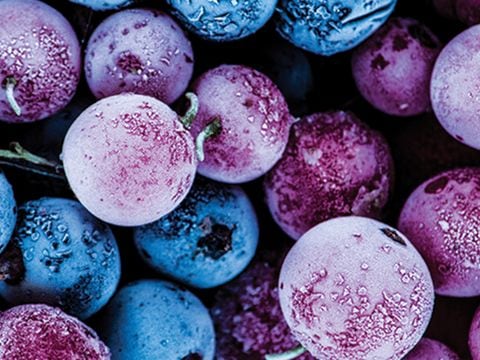 Τεχνολογία Total No Frost