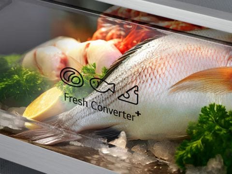 Φρέσκο ψάρι κάθε μέρα