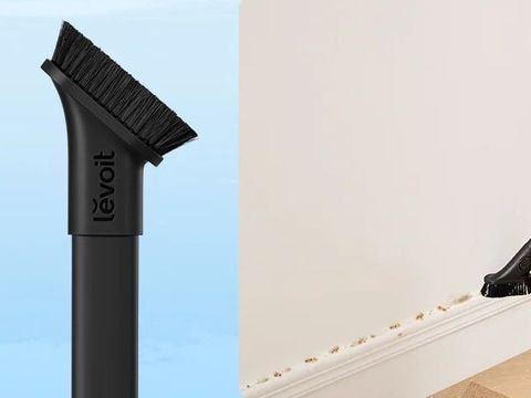 Τρίχες κατοικιδίων