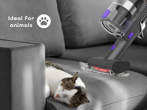 Μίνι μηχανοκίνητο πέλμα