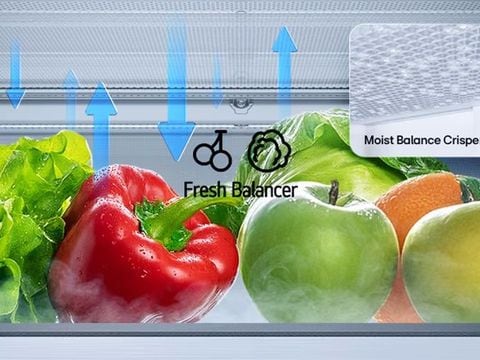 FRESHBalancer™