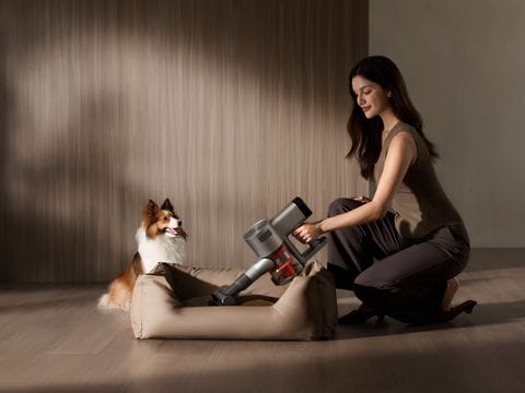 Αποτελεσματική εξάλειψη ακάρεων σκόνης