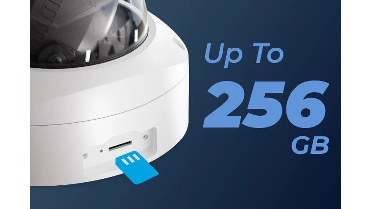 Reolink P437 Detection