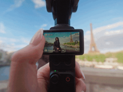 4K Live Photo Memory in Motion