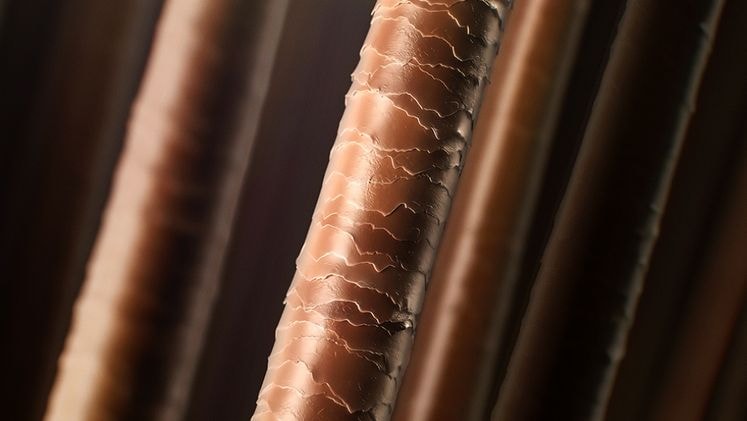 Επένδυσε στη μακροπρόθεσμη υγεία των μαλλιών σου.