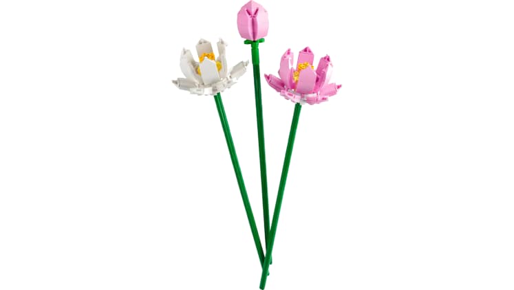 LEGO® Icons Lotus Flowers (40647)