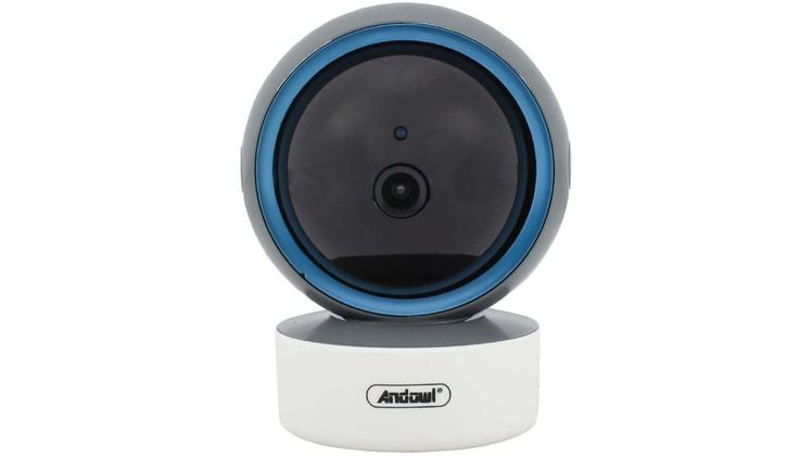 IP CAMERAS