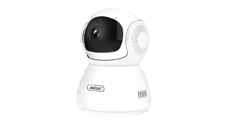 IP CAMERAS