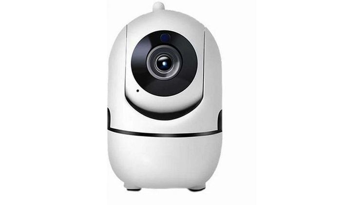 IP CAMERAS