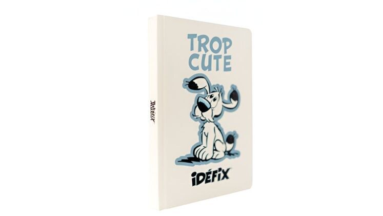 Σημειωματάριο Erik Asterix And Obelix - Idefix