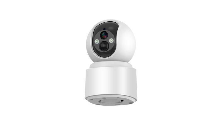 IP CAMERAS